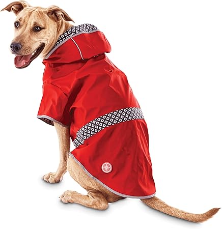 ryan's world triceratops