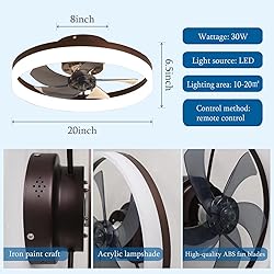 LCYFBE 20" Small Bladeless Ceiling Fan with Lights