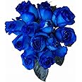 24 Stems - Fresh Cut Blue Roses by Flower Explosion