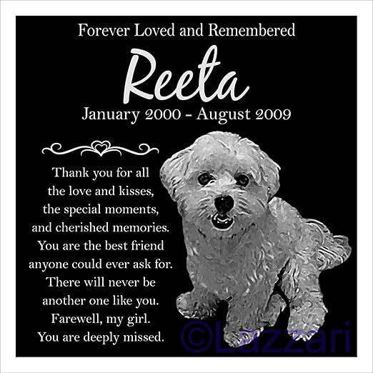 amazon pet memorial