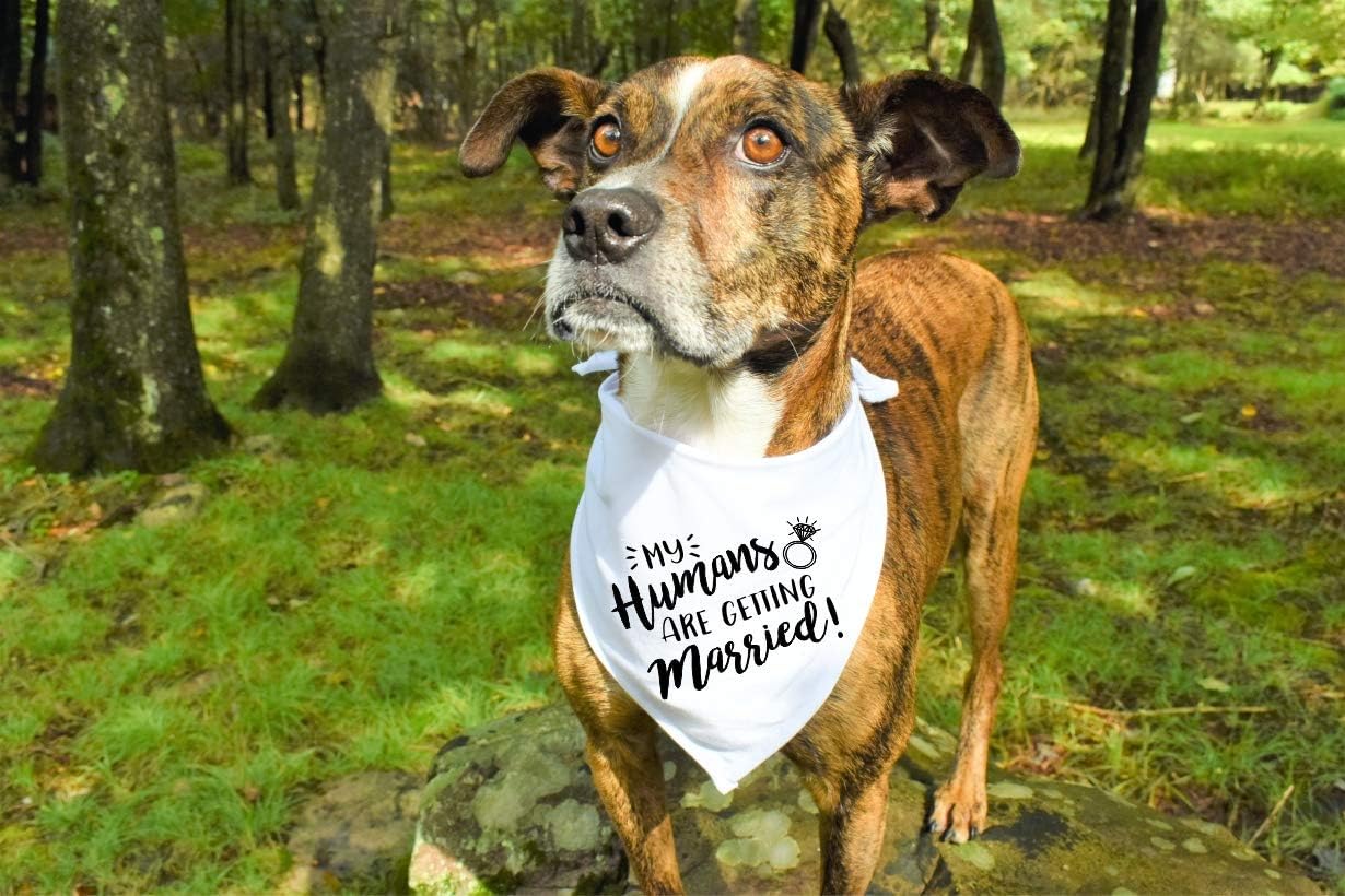 W&O My Humans are Getting Married Dog Bandana, Wedding Dog Bandana, Pet Scarf, for Small, Medium, Large Dogs : Kitchen & Dining
