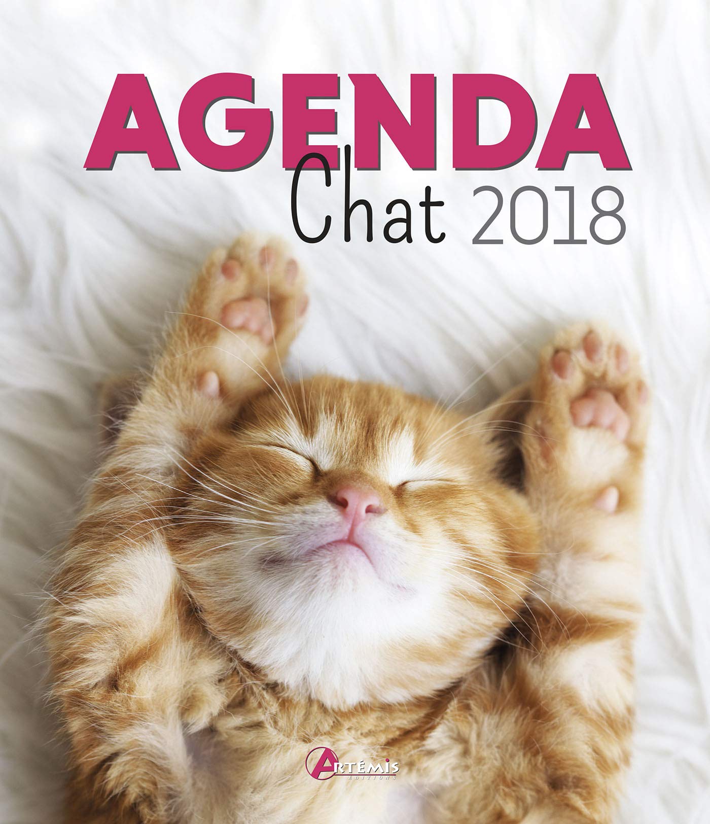 Agenda 18 Chat Collectif Amazon Com Books