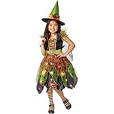 Rubie's Girl's Forum Novelties Light-Up Fairy Witch Costume