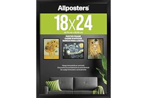 Trends International Allposters Collector's Edition Black Poster Frame (18" x 24")