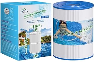 TOREAD NSF-50 Certified Watkins 31114 Replacement Tiger River Spa Filter, Compatible Unicel C-8465, PWK65, Filbur FC-3960, 71827, 71828 Hot Tub Filter, 65 sq. ft Hot Spring Spa Filter 1pack
