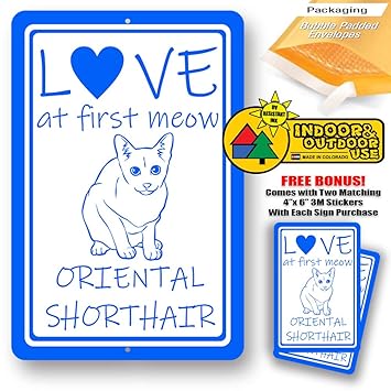 Amazon Com Love At First Meow Oriental Shorthair Cat Man Cave