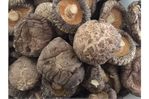 POWERNUTRI PREMIUM DRIED SHIITAKE CHINESE MUSHROOM (1 LB Bag (4-5 cm))