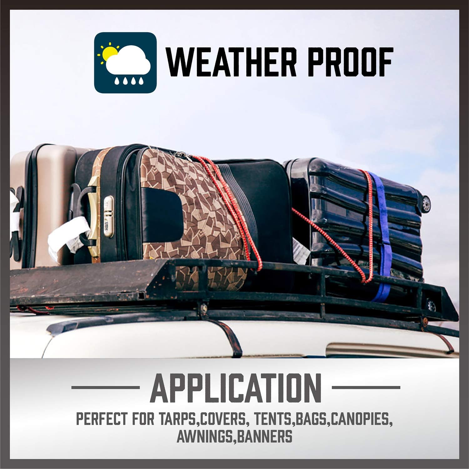 HORUSDY 30-Piece Premium Bungee Cords Assortment Jar, Includes 10”, 18”, 24”, 32”, 40” Bungee Cords, 8”Canopy/Tarp Ball Ties and Crocodile Mouth Tarp Clips - - 