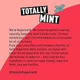 Peppersmith Strawberry Pastilles - Vegan Sugar Free Xylitol Breath Freshener view 8