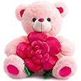 BEJOY Teddy Bear Stuffed Animals Plush Bear Holding Rose Soft Plush Toy Gifts 16 inches Pink
