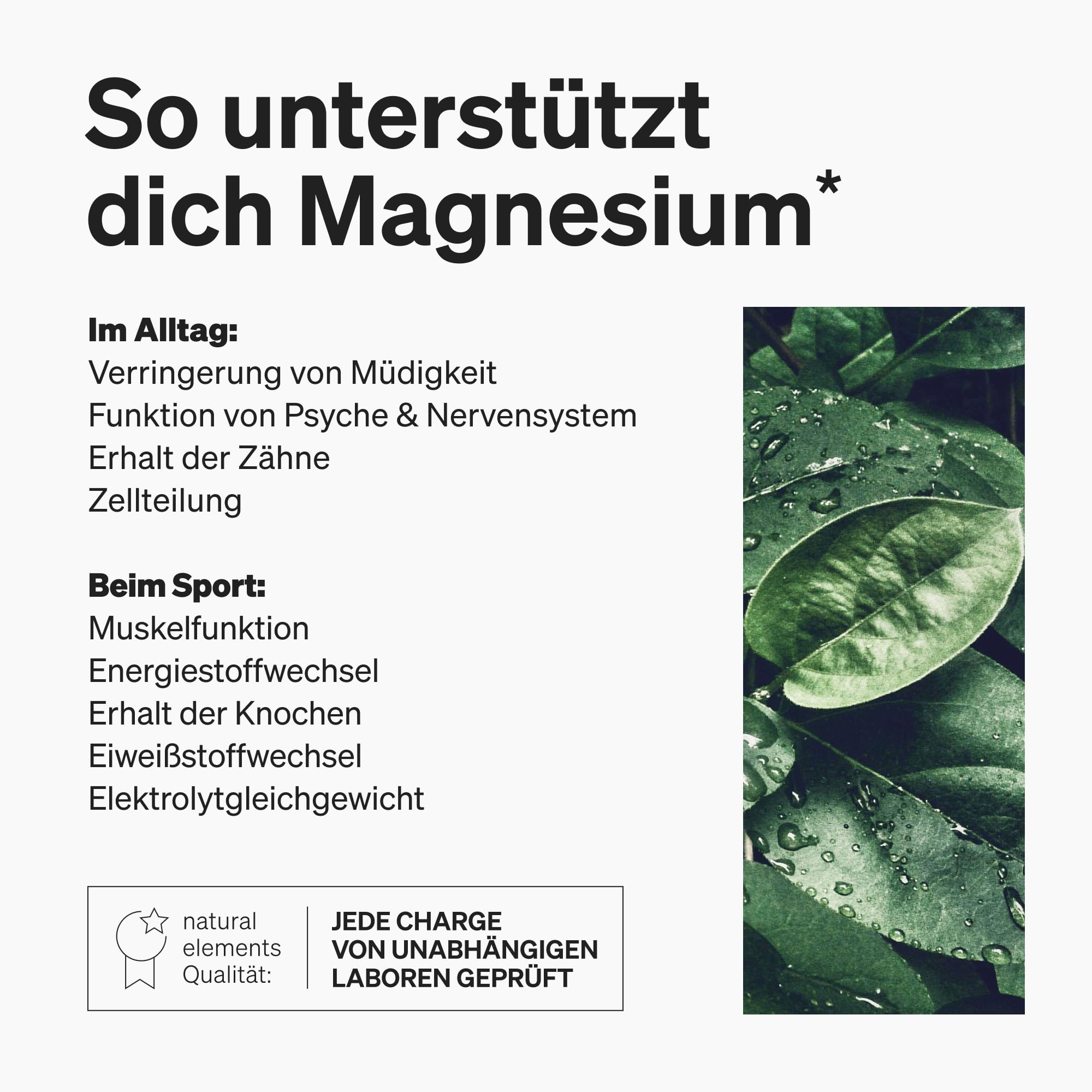 natural elements Magnesium Komplex - Premium: Aus 5 hochwertigen Verbindungen - 400mg elementares Magnesium pro Tagesdosis - Laborgeprüft, vegan, hochdosiert 5