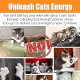 Speedy Panther 22 Pcs Cat Toys Interactive Kit Indoor Cat Tunnel Mouse Ball Set view 3