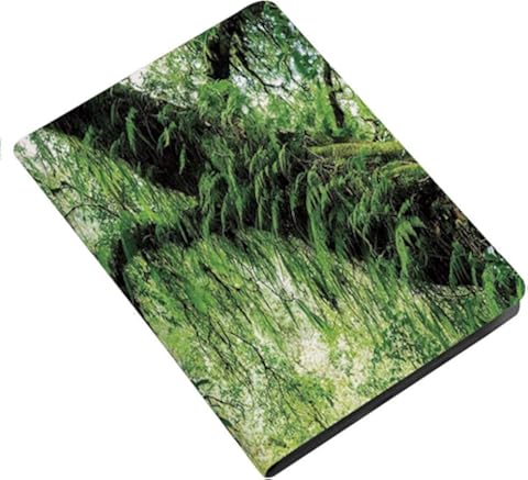 Rainbow - Funda protectora de piel sintética para iPad 7G, 10,2