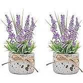 Fuxdre Small Fake Plants with 2 Pack, The Lavender for Bathroom Shelf Decor, Lavender Plant for Home Living Room Office Bedroom Table Tray Shelve Farmhouse Decor Indoor
