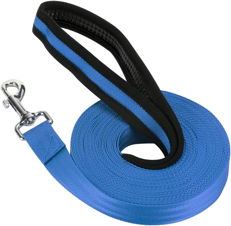 Vivifying 10m Nylon Long Line Dog Leash with Padded Handle (Blue)