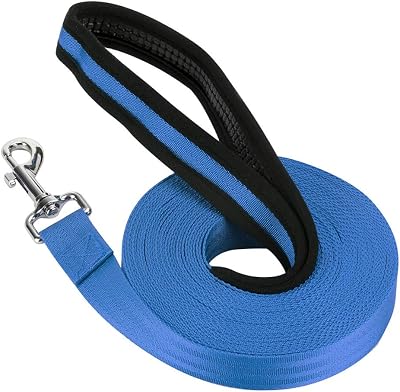 Vivifying 10m Nylon Long Line Dog Leash with Padded Handle (Blue)