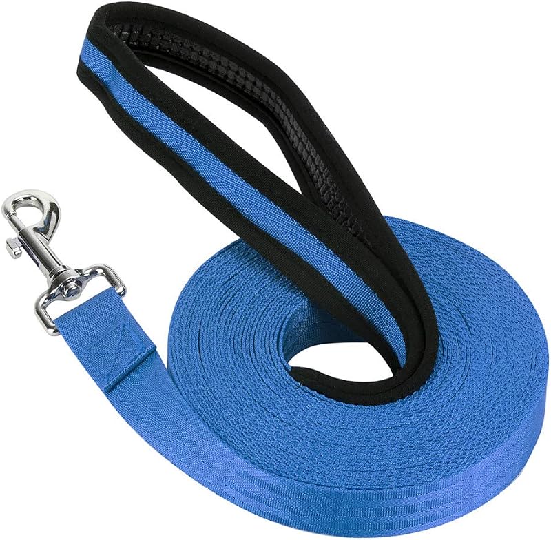 Vivifying 10m Nylon Long Line Dog Leash with Padded Handle (Blue)