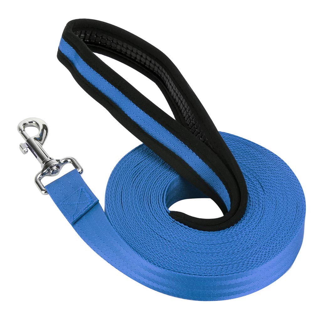 Vivifying Nylon Long Line Dog Leash, 10m/32ft for Pet Training & Obedience (Blue)