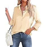 HOTOUCH Women's V Neck Long Sleeve Satin Button Down Blouse