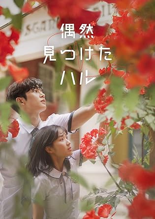 [DVD]偶然見つけたハル DVD-BOX1