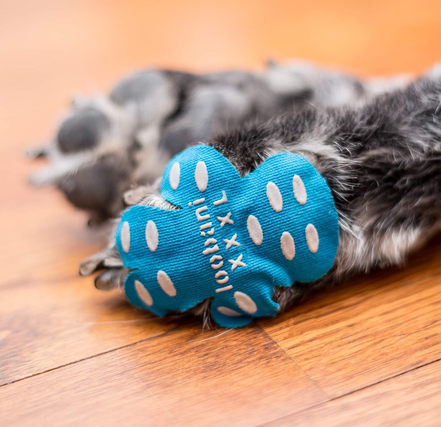 LOOBANI PadGrips 48 Pads丨Dog Paw Protector Anti-Slip Traction Pads to Keeps Dogs from Slipping On Hard Floors丨Walk Assistant for Your Senior Dogs