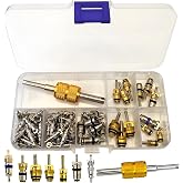 49PCS Car Air Conditioning Valve Core Kit, A/C R12 R134a Car HVAC Refrigeration Valve Cores Repair Kit Double Head Dual Dismantling Installer Tool,A/C Valve Core Kit &amp; AC Removal and Install Tool