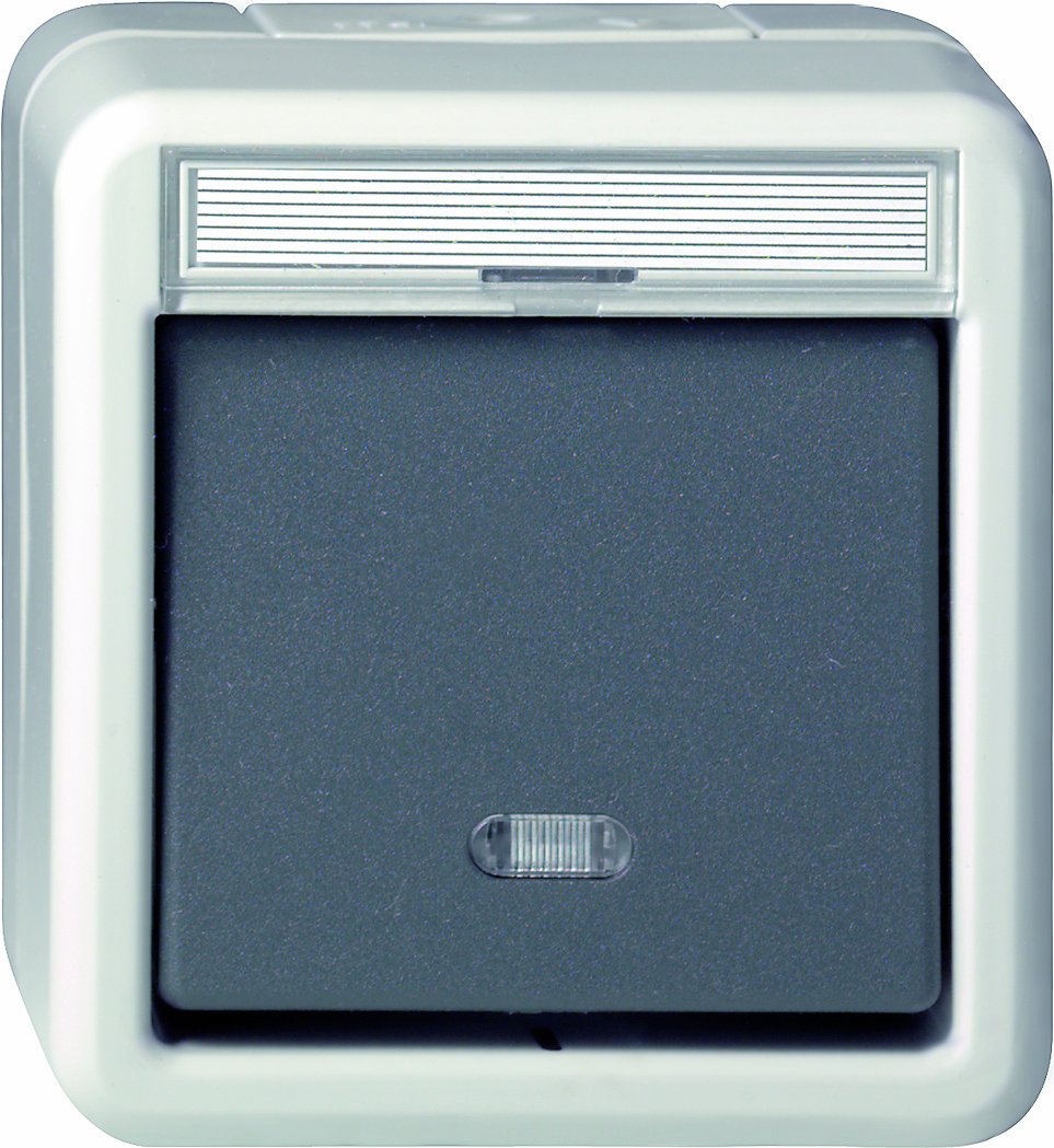 Gira 015631 WD Rocker/Double-Throw Switch Surface-Mounted Grey