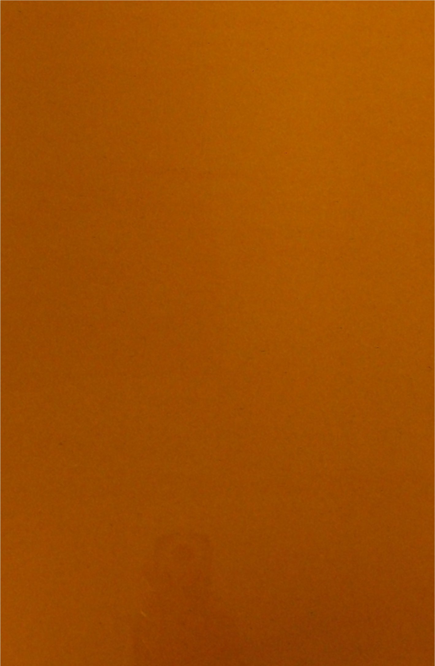 Colorcel A4 Film - Orange (Pack of 25)