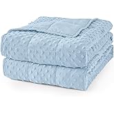 Mr. Sandman Weighted Blanket for Adults Queen Size 15 lbs, Soft Cooling Heavy Minky Blanket for Sleep, Washable Throw Blanket with Glass Beads, 60 x 80 Inches, Light Blue