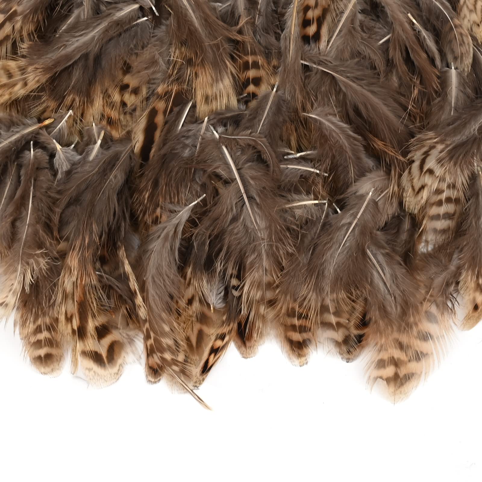 200 Pcs Natural Pheasant Feathers DIY Natural Crafts Feathers Wild Feathers Decoration Brown Natural Chicken Feathers 4-8cm Soft Small Pheasant Feathers for Dream Catcher Crafts Cosplay Party (A)