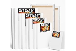 Koseibal Canvas for Painting, 10 Pack Canvas, Multi Size Paint Canvases Set 12x16/11x14/9 x12/8x10/5x7(2 of Each), Artist Anti-Seep Blank Primed Canvas for Oil, Acrylic, Pouring Paint