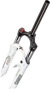 fork rst dirt 100 mm