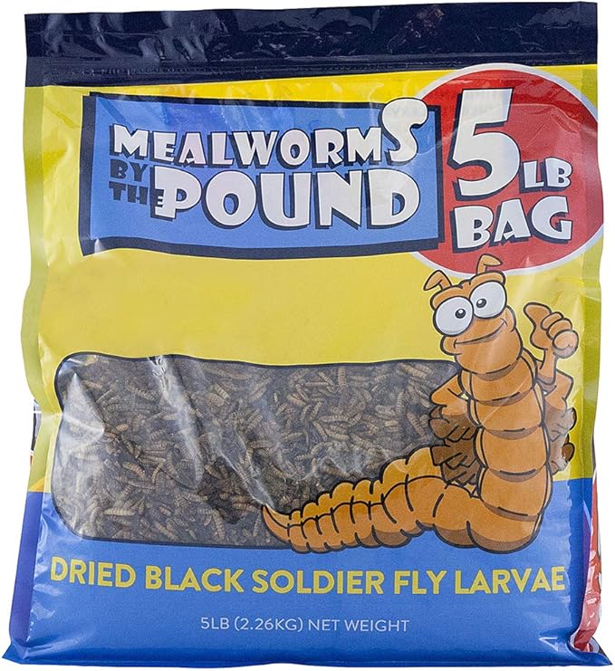 Mealworms by the Pound Bulk Dried Black Soldier Fly Larva