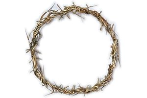 FaithHopeLove Jesus Crown of Thorns, Decay-Resistant Crown of Thorns - JesusChrist Symbol, Perfect for Church Events and Home Decor, JesusCrown Lifesize 8 inch (Gold)