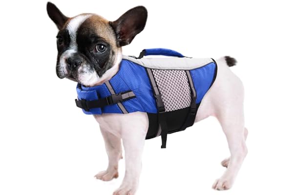 dog safety jacket