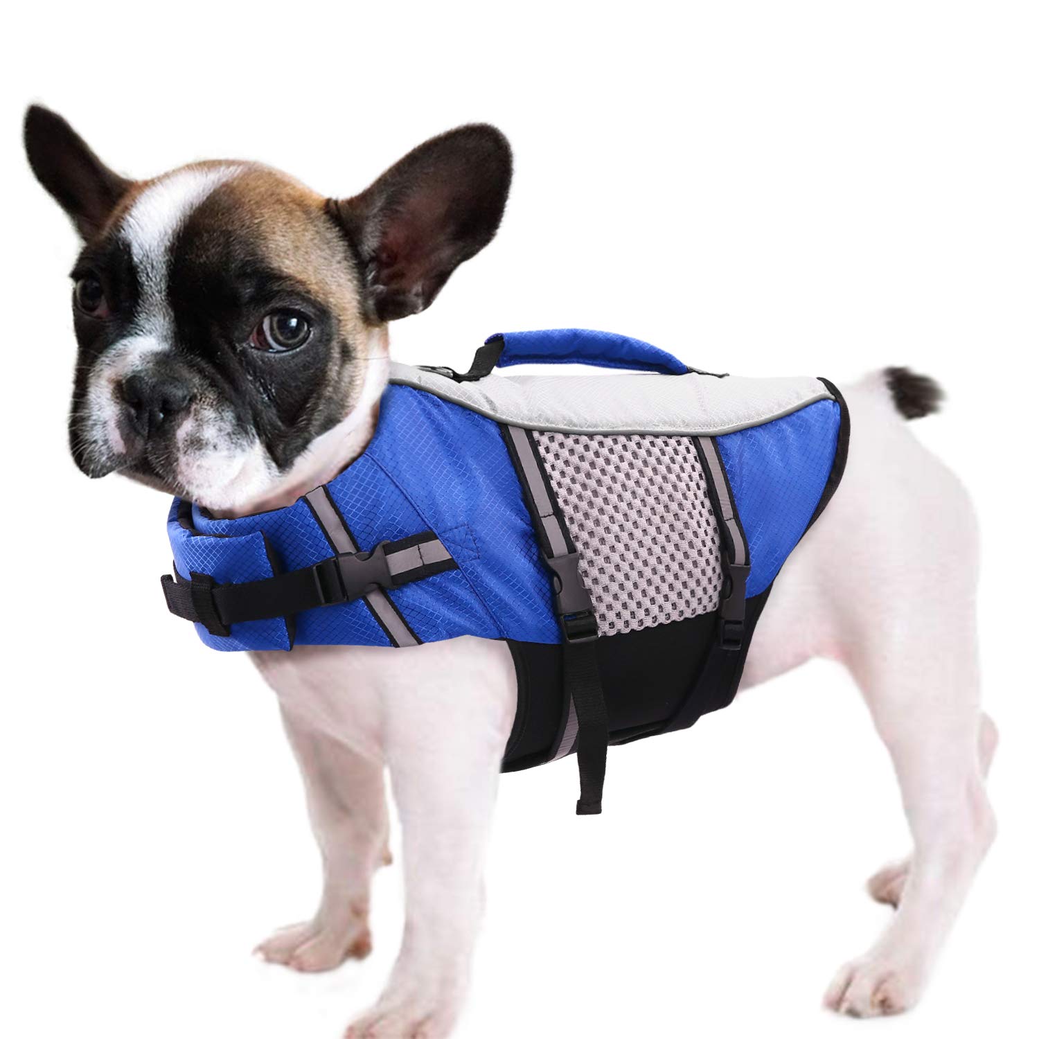 Photo 1 of Dog Life Jacket Swimming Vest Lightweight High Reflective Pet Lifesaver with Lift Handle, Leash Ring Blue,M