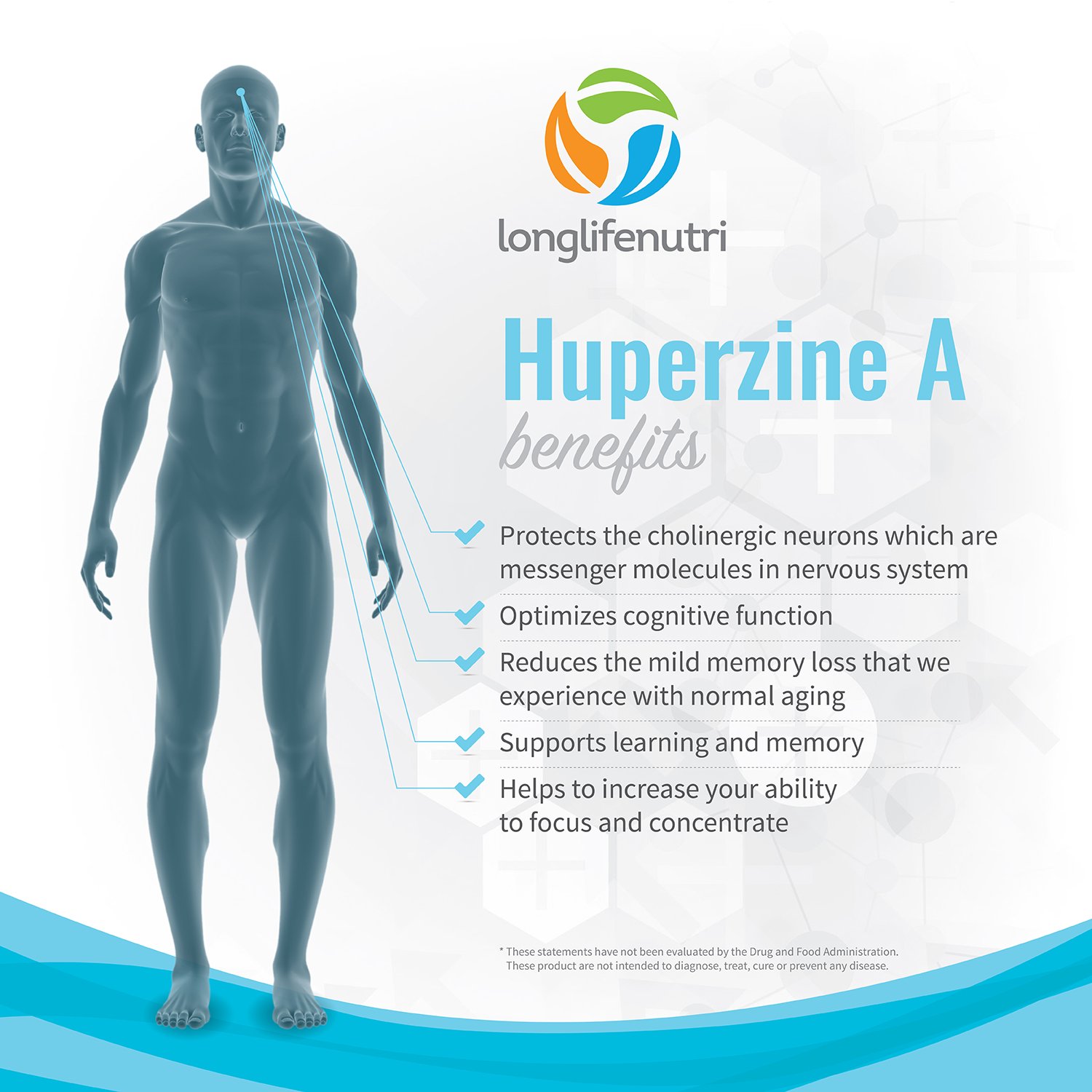 Huperzine A 200 Mcg 180 Vegetarian Capsules Made in USA Powerful