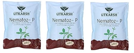 Utkarsh Nematoz - P (900 gm) (Paecilomyces Lilacinus 1.0% W.P, Bio Nematicide) Combo of 3 Pack.