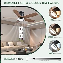 Ceiling Fans with Lights and Remote/APP Control, 41