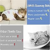 ANWA Cat Recovery Suit Breathable Cat Surgery Jumpsuit for Abdominal Wounds view 7