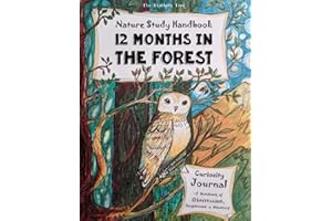 Nature Study Handbook - 12 Months in the Forest: The Thinking Tree - Curiosity Journal - A Handbook of Observation & Discovery