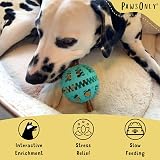 PawsOnly Interactive Treat Dispenser Ball Large Blue Dog Toy Puzzle Feeder view 2