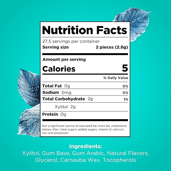 PUR GUM | ASPARTAME FREE CHEWING GUM | 100% XYLITOL | NATURAL WINTERGREEN FLAVORED GUM, 55 PIECES (PACK OF 1)