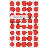 Minima Moralia: Reflections from Damaged Life