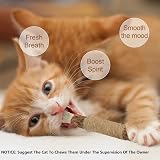 olyee Silvervine Cat Chew Sticks Kitten Toys Dental Health Natural view 2