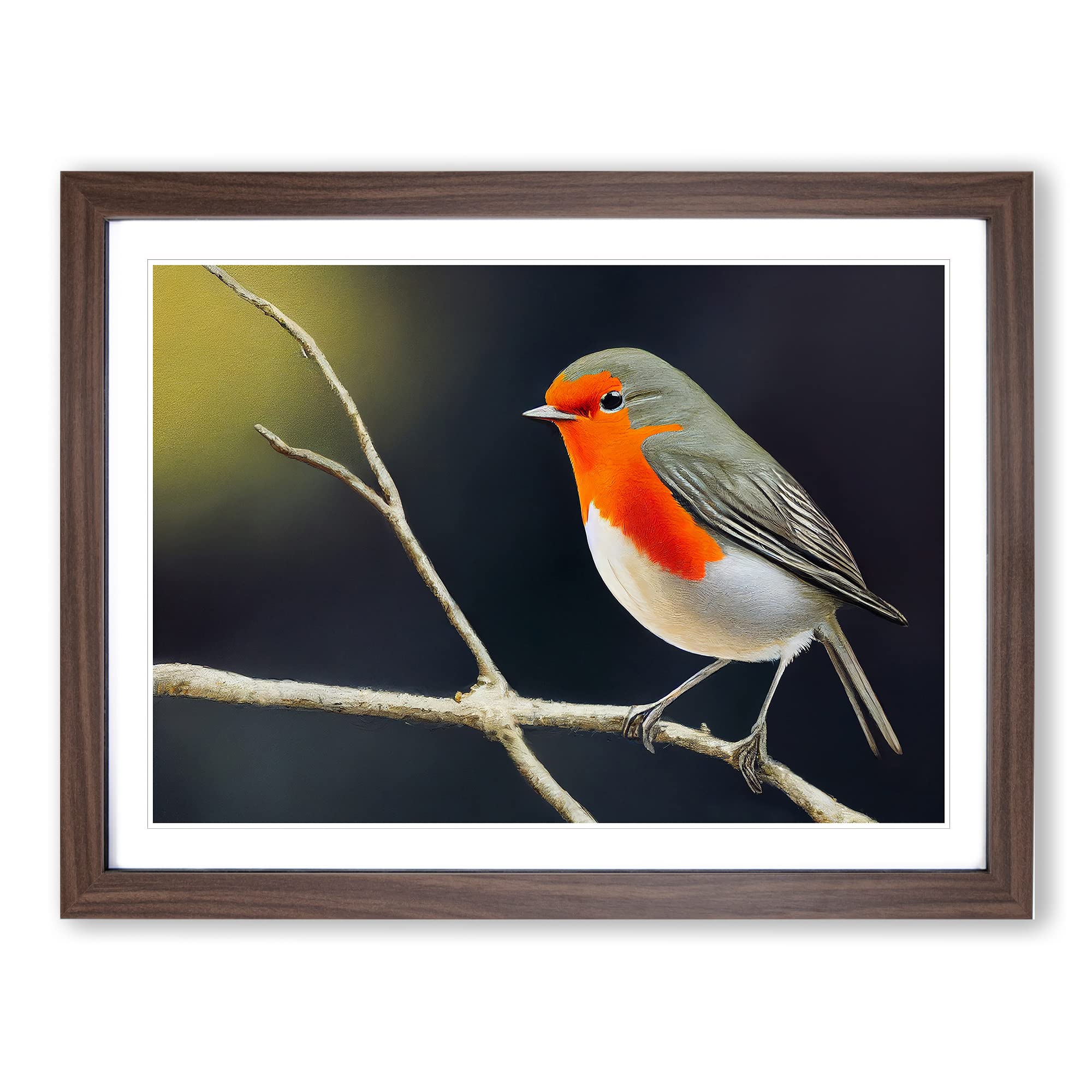 Effervescent Robin Bird Framed Print | A4 Walnut Framed Wall Art | Ready to Hang | Modern Animal Picture | Living Room Bedroom Lounge Office