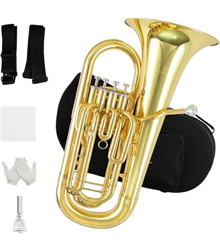 Amazon.com: Cool Wind CEU-200 Series 4-Valve Plastic Euphonium
