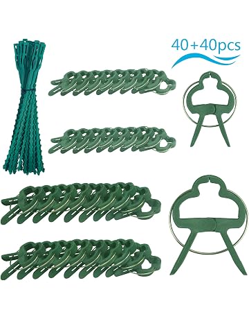 Amazon.es: Soportes para plantas: Jardín