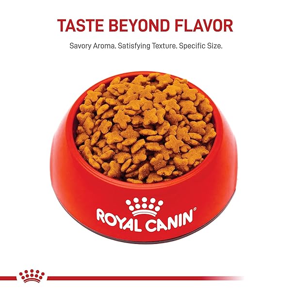 ROYAL CANIN SIZE HEALTH NUTRITION SMALL ADULT 8+ DRY DOG FOOD, 2.5 LB BAG