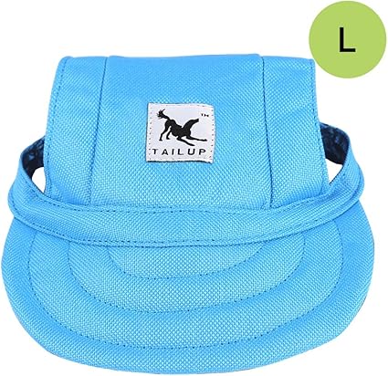 matching hats for dog and owner